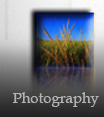 Click Here to enter the Photograpy Gallery